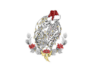 gothic and mystical illustrations, skeletons