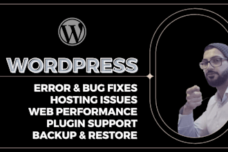 investigate, solve and fix wordpress website issues