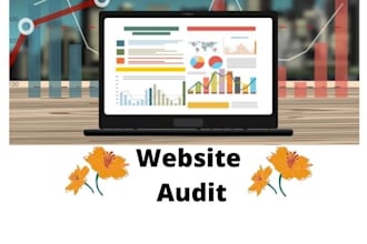 provide website audit report with better resolutions