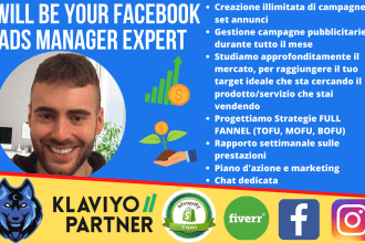 manage facebook ads campaign