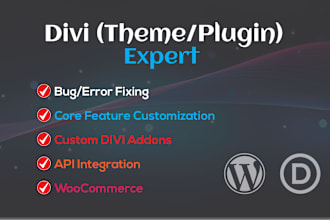 integrate API, customize, develop wordpress website with divi theme