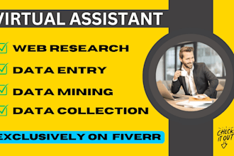 be your data entry specialist or personal virtual assistant for data entry