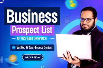 do website, business email findings, data scraping, manual or excel data entry