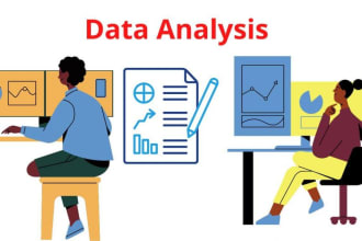 assist you with data analysis on excel, spss etc