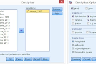 help you with spss output along with their interpretation