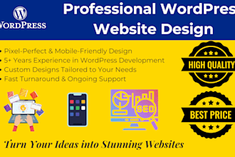 design a professional website for the chartered accountant