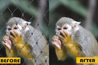 remove fences obstructing on your photo