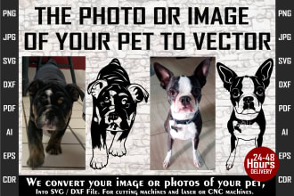 draw the image of your pet in an impressive black and white line art