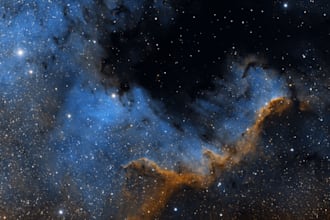 teach you pixinsight 1 to 1 online