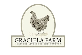 creating a modern compelling logo with a vintage feel