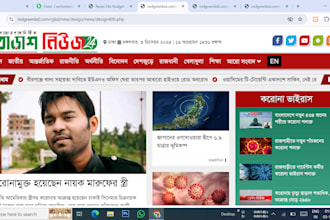 provide a full package of news portal website including domain hosting