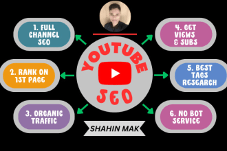 provide the best quality youtube SEO service to rank videos rapidly