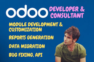 do odoo module customization and bug fixing