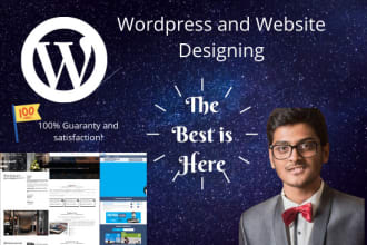 design a professional  wordpress website for restaurant