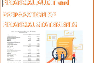 audit and prepare financial statement