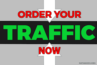send Low Bounce Rate Social Media USA Traffic