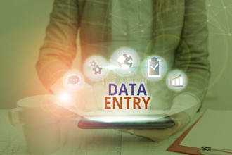 do data entry and copy pasting tasks on ms word, excel