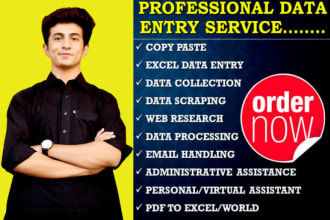 be your virtual assistant for excel data entry copy paste work and web research