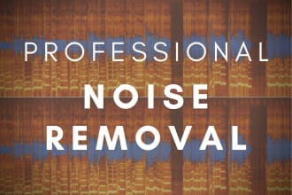 remove noise, edit, clean and process the vocal for you