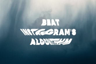 help you beat instagrams algorithm