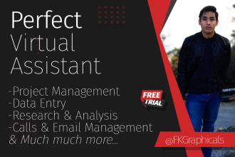 be your professional virtual assistant