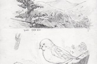 draw sketch illustrate anime background or scenery