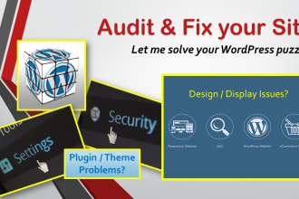 audit and fix your wordpress website