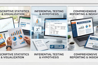 do statistical data analysis and assignment