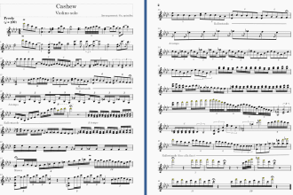 transcribe and arrange audio files to sheet music