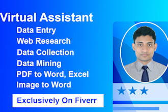 do data entry services