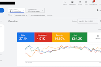set up and manage google ads campaigns for your business