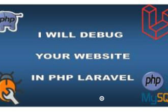 php laravel bug fix develop edit install website