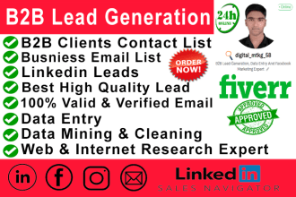 do b2b client lead generation, prospect list building,  contact email list