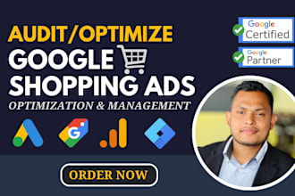 audit or optimize google shopping ads or performance max campaign