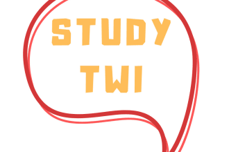 teach you how to speak twi