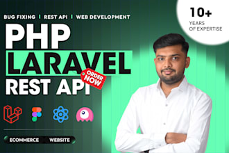 develop php laravel website codeigniter website design api developer