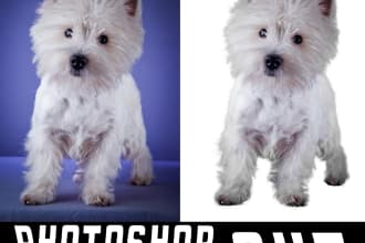 do a white or transparent background png of the images