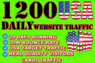 drive usa rank website traffic visitors