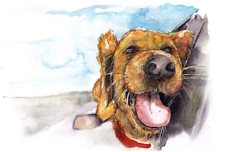 sketch a realistic portrait of a pet or any animal with watercolor