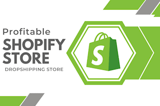 create or recreate a profitable shopify store