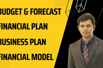 make financial model, budget, forecasting and  business plan
