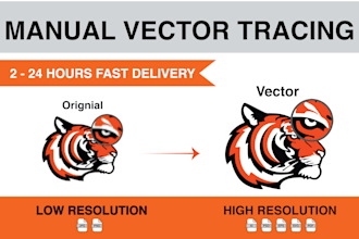 do manual vector tracing, redraw, recreate, remake image