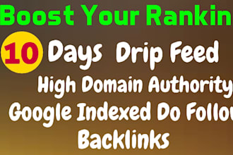 do 10 days drip feed seo link building backlinks service