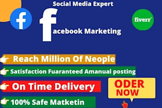 do your facebook marketing and promote   product