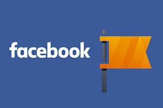 solve your facebook page admin issues