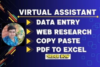 do any virtual assistant, data entry, web research, copy paste job