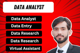 do excel data entry, arrange data, data analyst, typing