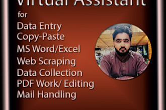 be virtual assistant for data collection, mail handling