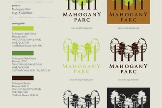 create unique logo and guidelines