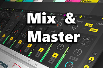 mix, master and produce your song personally
